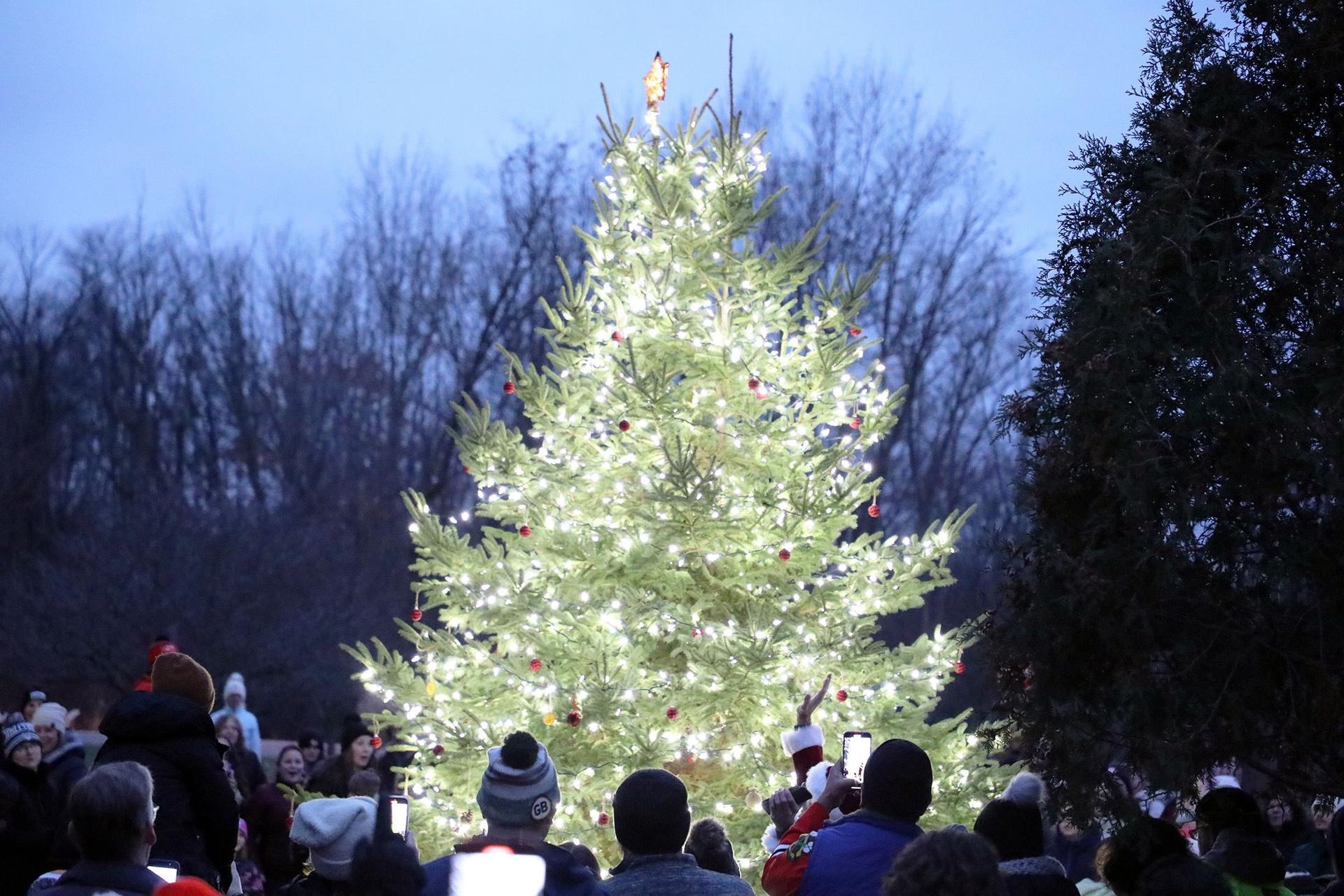 Festive Festivities: Kenosha Prepares for Dual Tree Lighting Celebrations