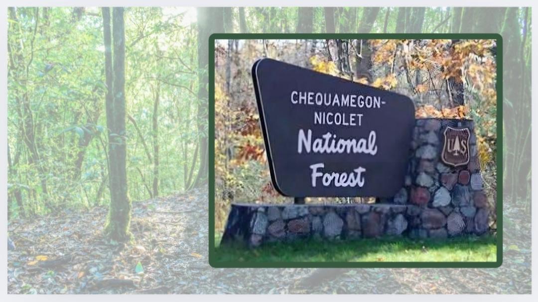 Former Forest Service Chief Calls Out Trump’s Logging “Emergency”