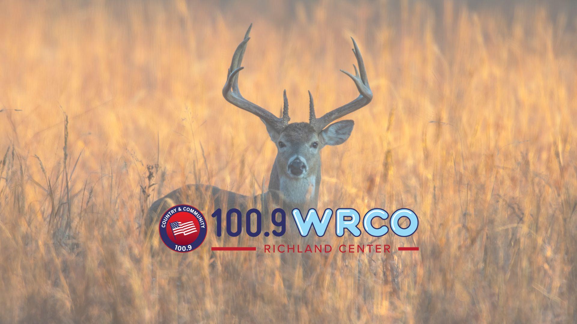 Hitting the woods this weekend? Experts say leave the lead home