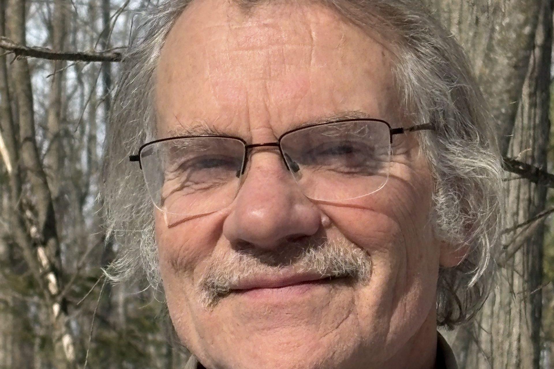 Massive national forest project needs a closer look at impacts, alternatives